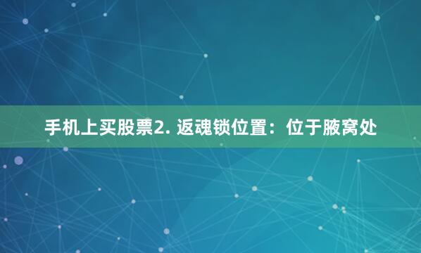 手机上买股票2. 返魂锁位置：位于腋窝处